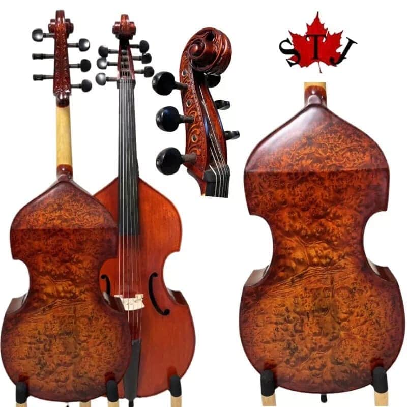 Baroque Style SONG maestro 6 string 27" viola da gamba,Bird eye maple whole back image 1