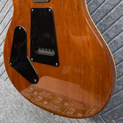 PRS CE24 SkunkWerx Collector Grade Eriza Verde Maple image 9