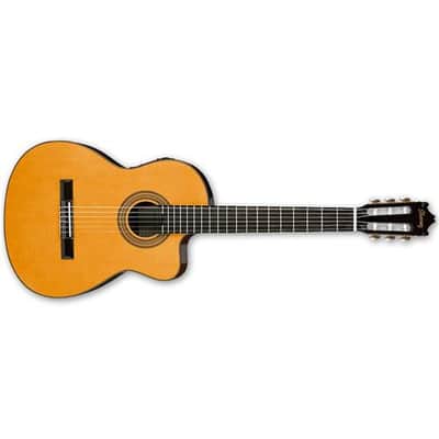Ibanez Classical Series GA6CE Cutaway Acoustic Electric Guitar, Rosewood Fretboard, Natural High Gloss image 1