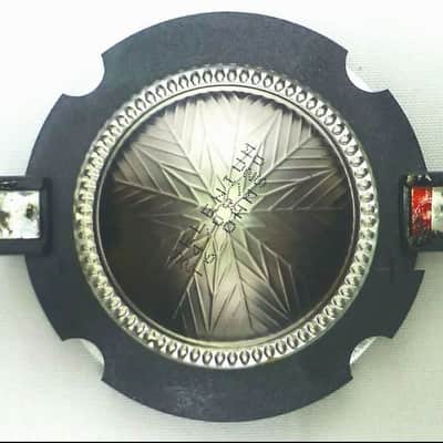 Original Factory Diaphragm - JBL / Selenium - RPD220Ti 16R For D220Ti Driver 16Ω image 3