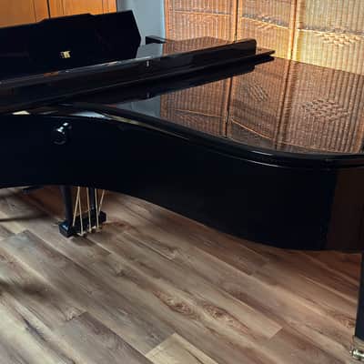 Schimmel Model 208 Limited Edition 89/250 1988 - Ebony Polish imagen 13