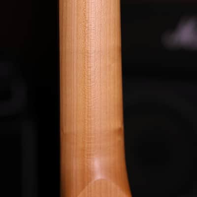 Dhatarattha DST HH Red Paisley – Roasted Maple Neck, Stainless Steel Frets image 10