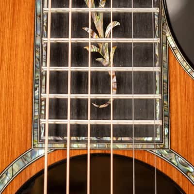 Taylor Next Generation PS14ce Presentation Series Grand Auditorium Acoustic/Electric Guitar - Honduran Rosewood/Sinker Redwood with Hardshell Case image 11