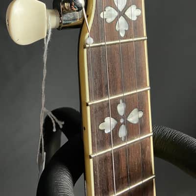 Recording King RK-R20 Songster 5-String Bluegrass Banjo image 8