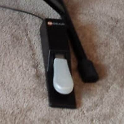 Casio WK 3800 keyboard with stand, power supply and sustain pedal image 10