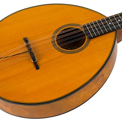 1982 Flatiron Bouzouki Style 3K Spruce/Figured Koa Natural #8202026 image 2