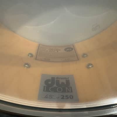 DW Collector's Series "Sound City" Dave Grohl Signature Icon 6.5x14" Snare Drum image 3