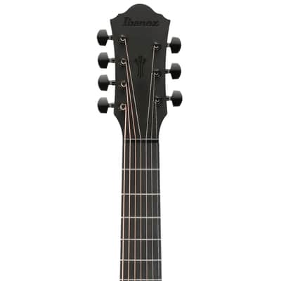 Ibanez AEG721 7-String Acoustic-Electric Guitar - Black Out image 8