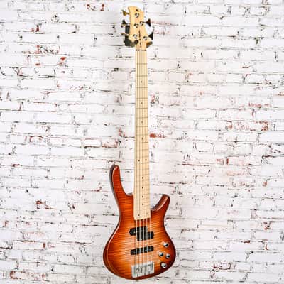 Roscoe Guitars - Keith B Roscoe Standard 5 String Bass, Sunburst Flame - w/Bag - x0037 - USED image 6