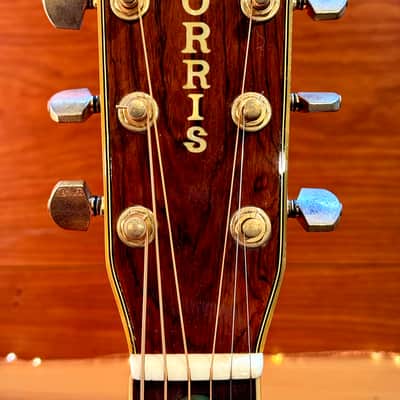 Morris W-65M "Tree of Life" 1970s MIJ Acoustic Natural W/HARD CASE image 6