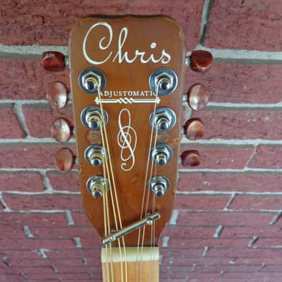 1960's Jackson Guldan Octave Mandolin / Double Irish Tenor Guitar - Bouzouki image 5