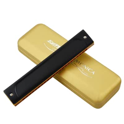 22 Holes Professional Tremolo Harmonica Key of D image 4