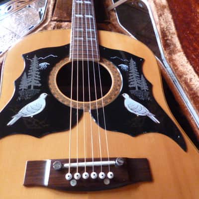 Immagine Ensenada  wg 66 Dreadnaught folk 1970 natural - 11