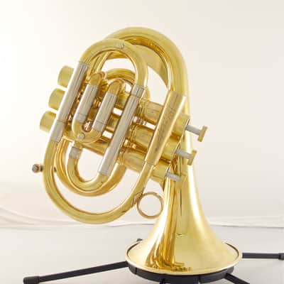 Brasspire Pocket Trumpet P7: Maybe the best pocket trumpet out there? image 4