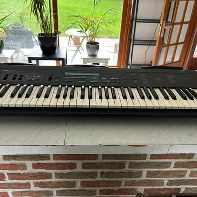 Korg DS8