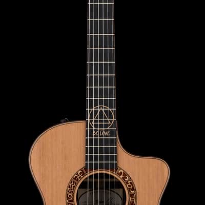 Taylor Jason Mraz Signature JMSM #25022 (NAMM 2026) image 5