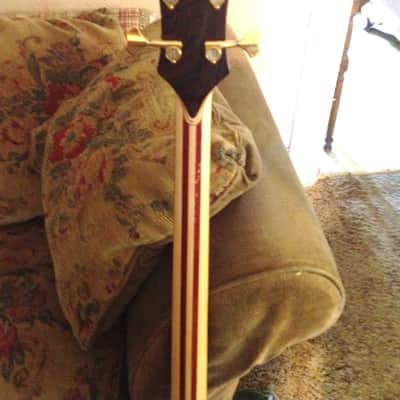Alembic custom 4 string Mark King deluxe 2002 Cocobolo image 13