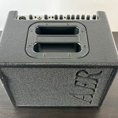AER Acoustic Line Compact Classic Pro 60W Single Channel image 2