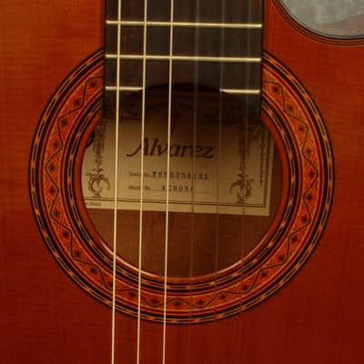 Alvarez AC60SC  Classical Acoustic/Electric Guitar with Hardshell Case image 6
