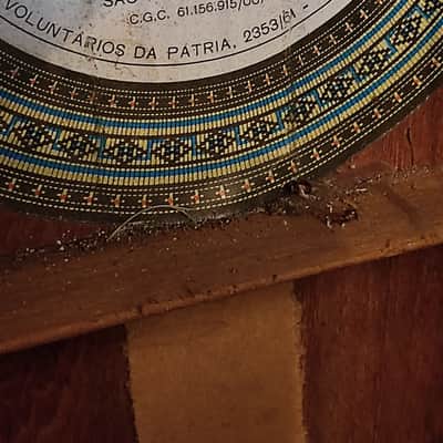 di giorgio estudiante 18 1974 rare good condition image 16