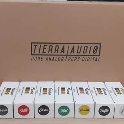 Tierra Audio Canyon 16 Summing Mixer Take 2 + FREE Flavours Preamp of your choice (in stock!) image 1