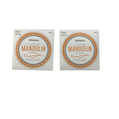 D'Addario Mandolin Strings 2-Sets Loop End Monel EJM74 11-40
