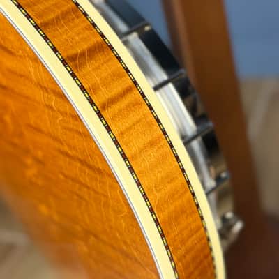 Deering Calico 5-String Banjo Demo image 17
