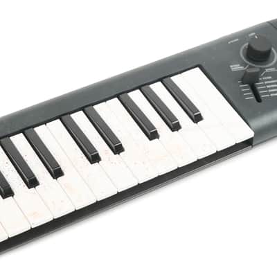 Yamaha Sonogenic SHS-500 Keytar Owned by Frank Iero image 7
