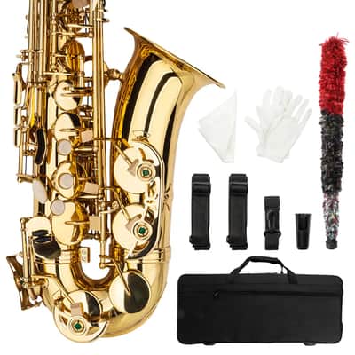 Eb Alto Saxophone Outfit Gold Lacquered Brass w/ Hard Case, Mouthpiece, Reed & Gloves image 7