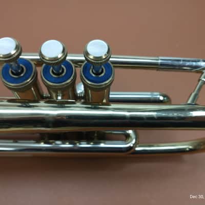 York Senator Cornet image 7