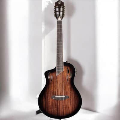 Ortega TourPlayer Series Nylon String Acoustic-Electric Guitar - RTPDLX-ACA-L, Left-handed image 2