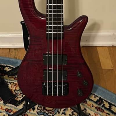 Spector Bantam 4 - Black Cherry image 2