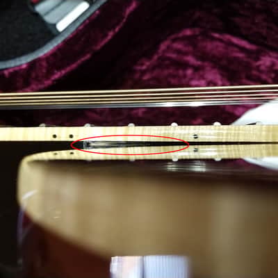GOLD TONE PBS-M Paul Beard square-neck Mahogany RESONATOR guitar DOBRO w/ Case B image 8