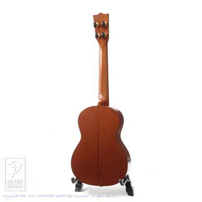 KAWAKAMI GUITARS＜MIJ> T-1M DX 2006 image 4