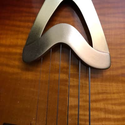 Roger Borys B-120 Deluxe 2012 Honeyburst image 13