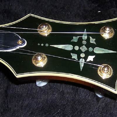 Gold Tone EBM-5/L Solid Body Maple Top & Neck F-Style 5-String Electric Banjo For Left Handed Players image 8