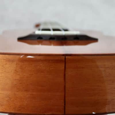 Big Island Ukulele Co. Golden Koa Tenor Ukulele KT-TR W / Carrying Case image 16