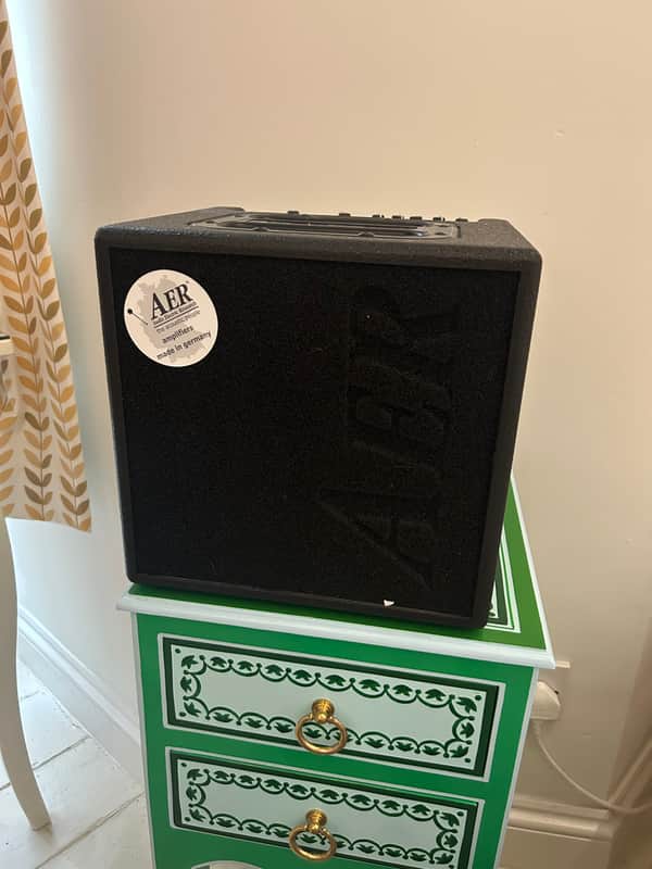 AER Alpha 2-Channel 40-Watt 1x8" Acoustic Guitar Combo 2020s - Black image 1