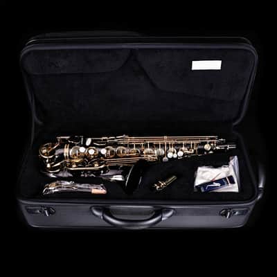 Selmer SAS511B Intermediate Alto Saxophone, Black Nickel image 12