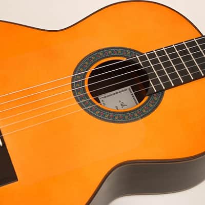 Amalio Burguet Flamenco Guitar "Negra" one piece Indian Rosewood back and sides. 2017 Flamenco Oran image 15