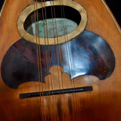 Vintage 1925 Prof. Raffaele Calaci Mandolin image 7