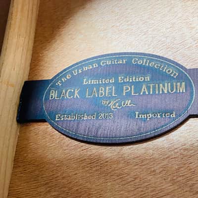 Keith Urban Black Label Platinum Acoustic Electric Guitar image 3