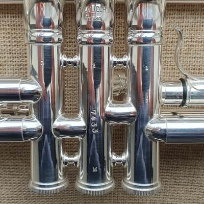 D. Calicchio DT-S1s/3M Dave TRIGG Model | Gamonbrass trumpet image 13
