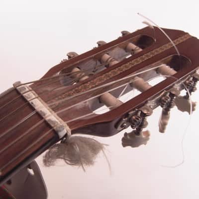 Klassikgitarre Konzertgitarre Gitarre Hondo  H310 80er - natur Korea image 4