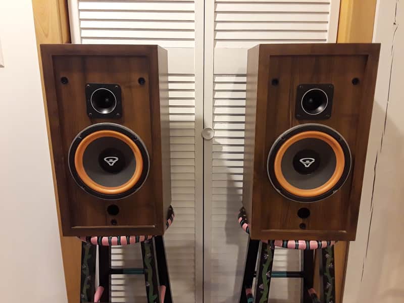 Cerwin-Vega D1 1988 Walnut | Reverb