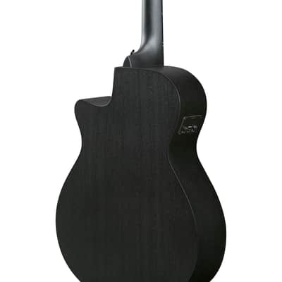Ibanez AEG Series AEG621 Acoustic Electric Guitar, Black Out image 7