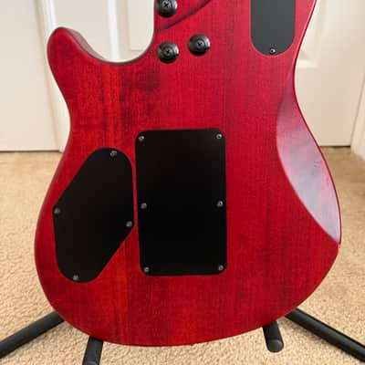 EVH Wolfgang WG Exotic Spalted Maple *Includes Hard Case & Tremelo Upgrade image 4