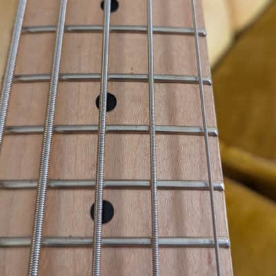 Alien Audio Constellation 5 String Bass image 5