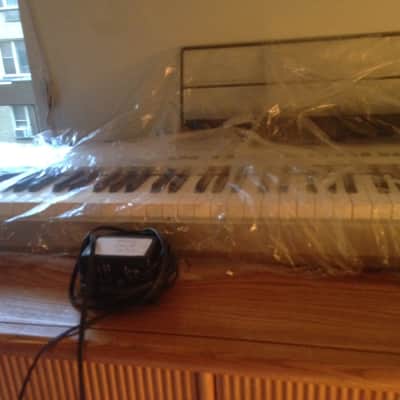 Kawai ES-X 2001 Silver *AS IS* image 2