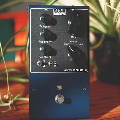 Fish Circuits ASTRONOMIE Reverb
